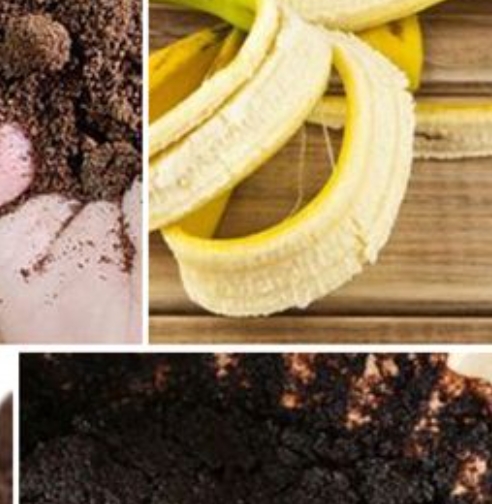 Just Mix Coffee into Banana Peels and You’ll Never Need to Buy Fertilizer Again