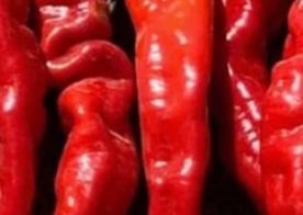 Dr. Barbara O’Neill Reveals Cayenne Pepper’s Shocking Secrets That Seem Illegal to Know