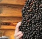 Put Black Pepper Under the Bed: You Won’t Believe What Will Happen