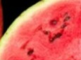 What Happens to Your Body When You Eat Watermelon Every Day