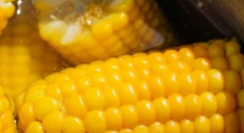 The Real Reason You Shouldn’t Boil Corn on the Cob