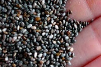 The Top 5 Health Benefits of Chia Seeds