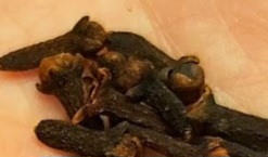 Clear Your Lungs and Stop Coughing in Three Days: A Clove Remedy for Bronchitis